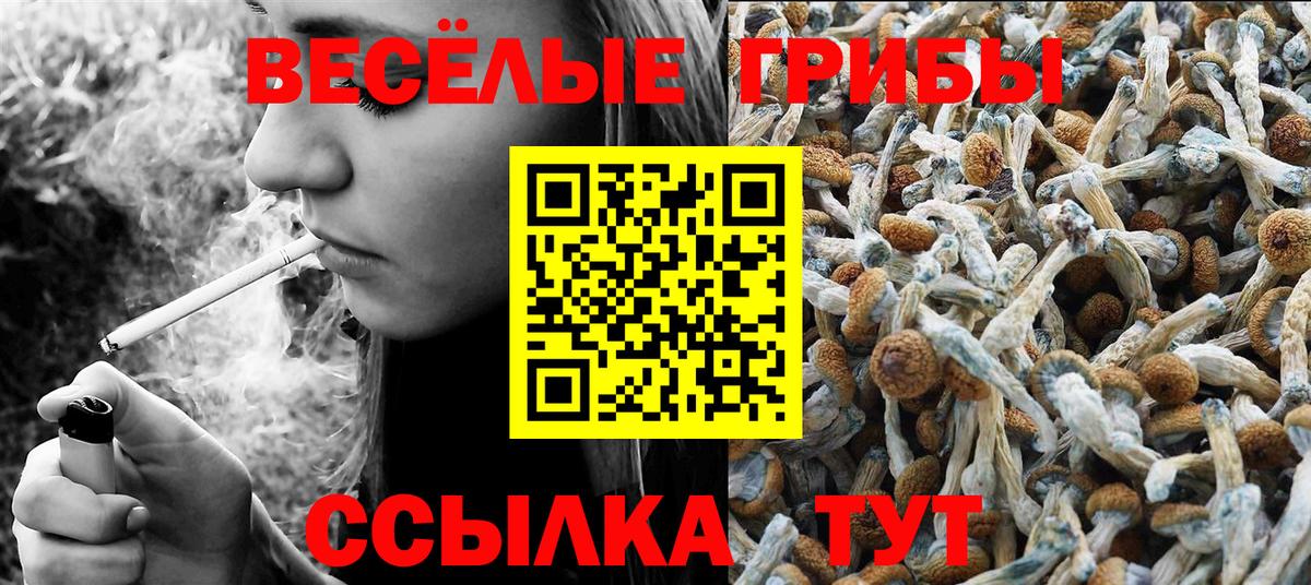 Галлюциногенные грибы Cubensis  Галлюциногенные грибы MAGIC MUSHROOMS  Озёрск  Вход с VPN 